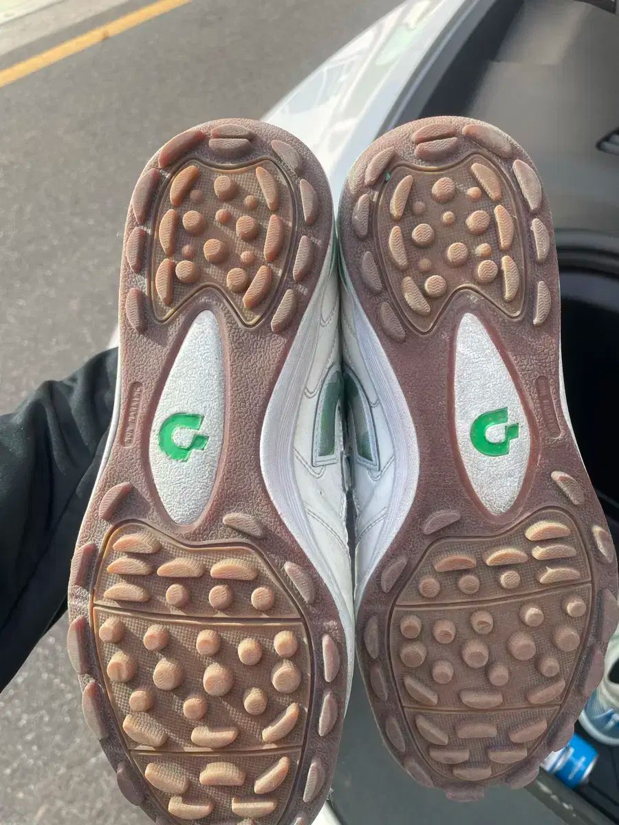 デスポルチ テサラ