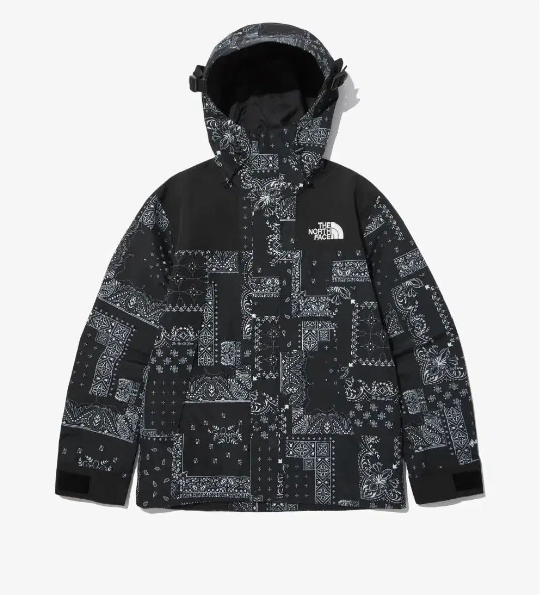 THE NORTH FACE ノースフェイス ゴアテックス ペイズリー マウンテンジャケット