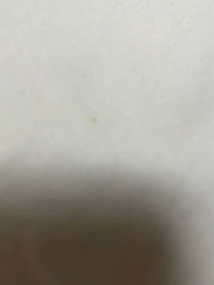 Abercrombie y2k タイトフィット スリム ロングスリーブ Tシャツ