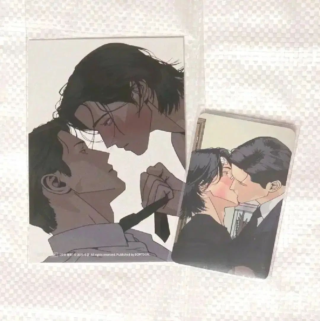 注意平和スキンシップ プリント写真 10種 トレカ