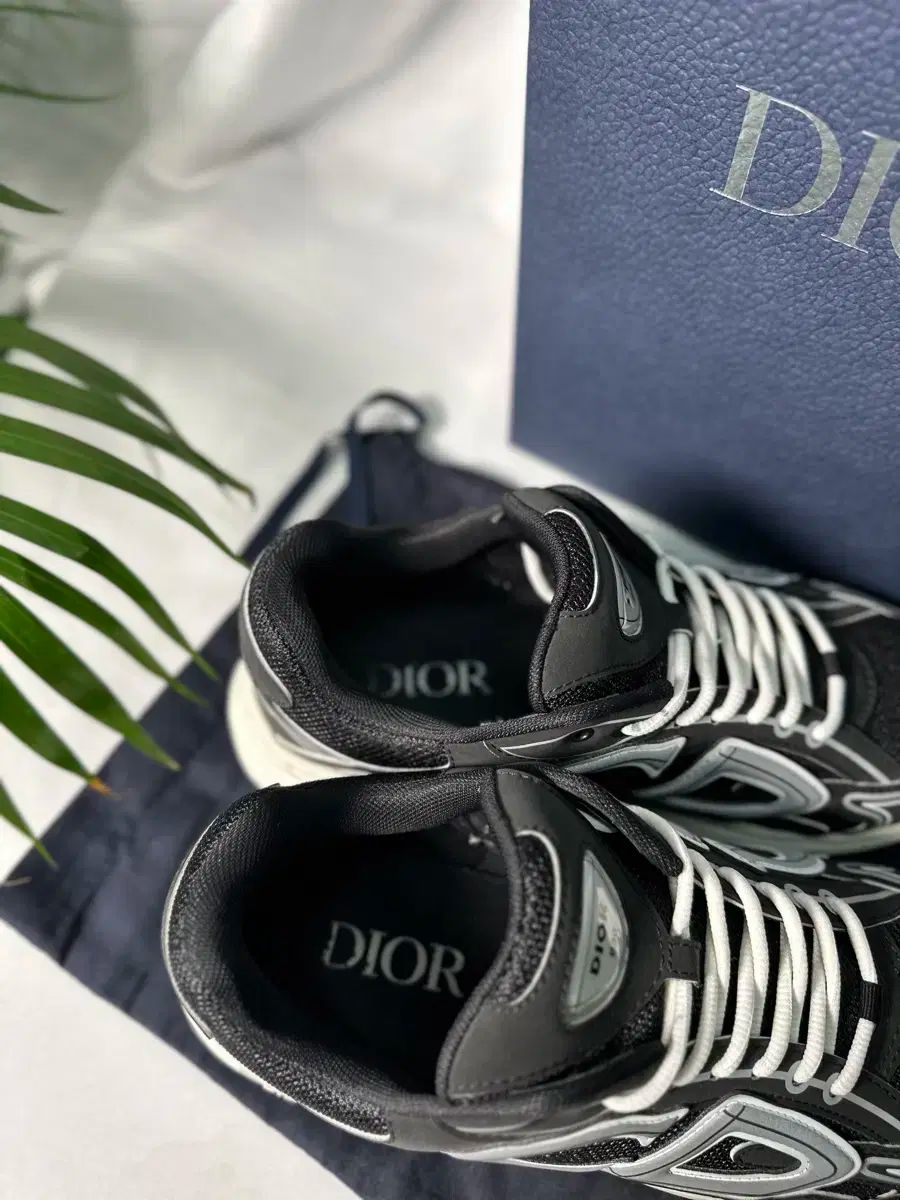 メッシュ ブラック