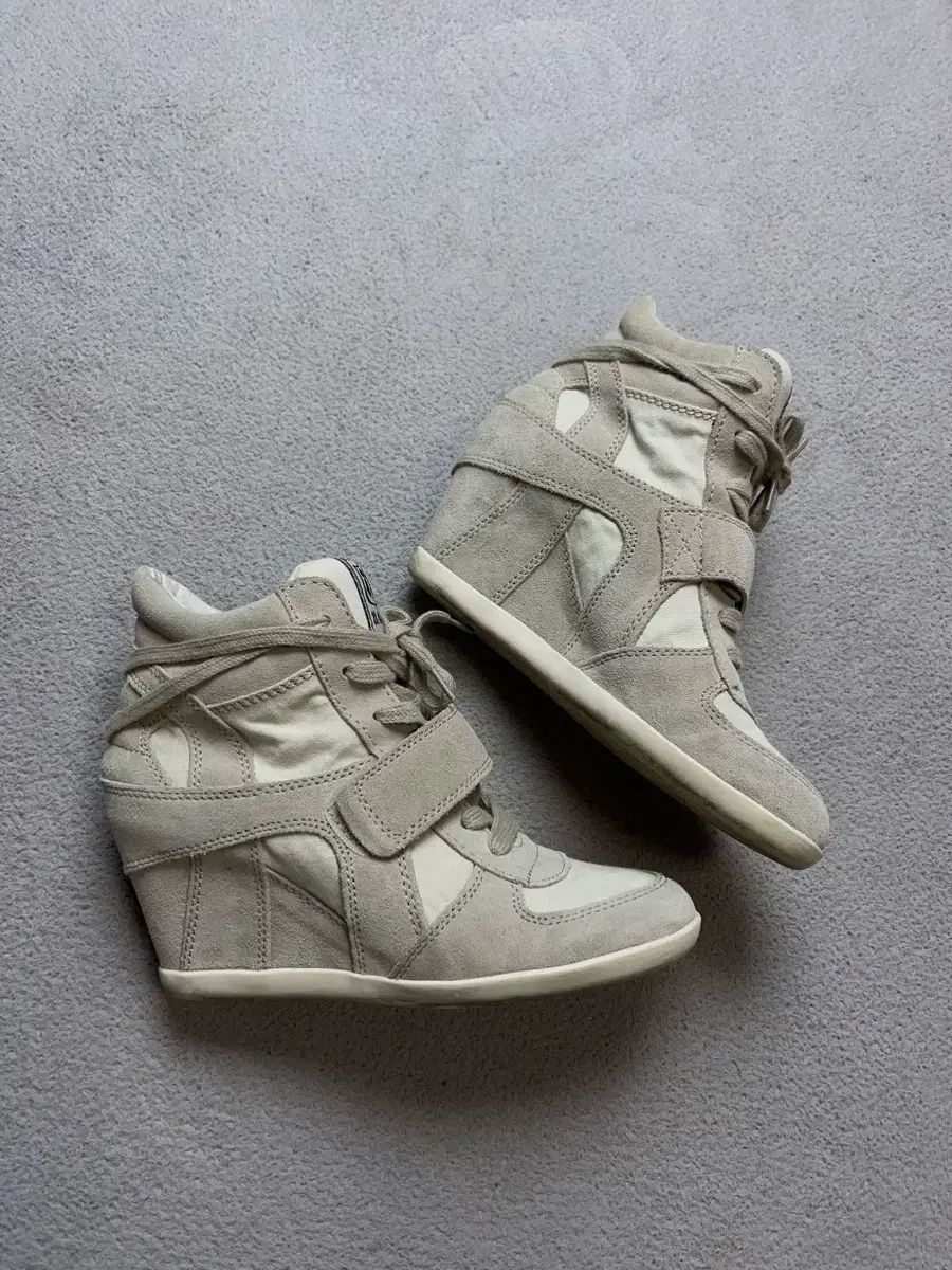  37 ASH ウェッジ スニーカー ヒール-240 その他 ブーツ