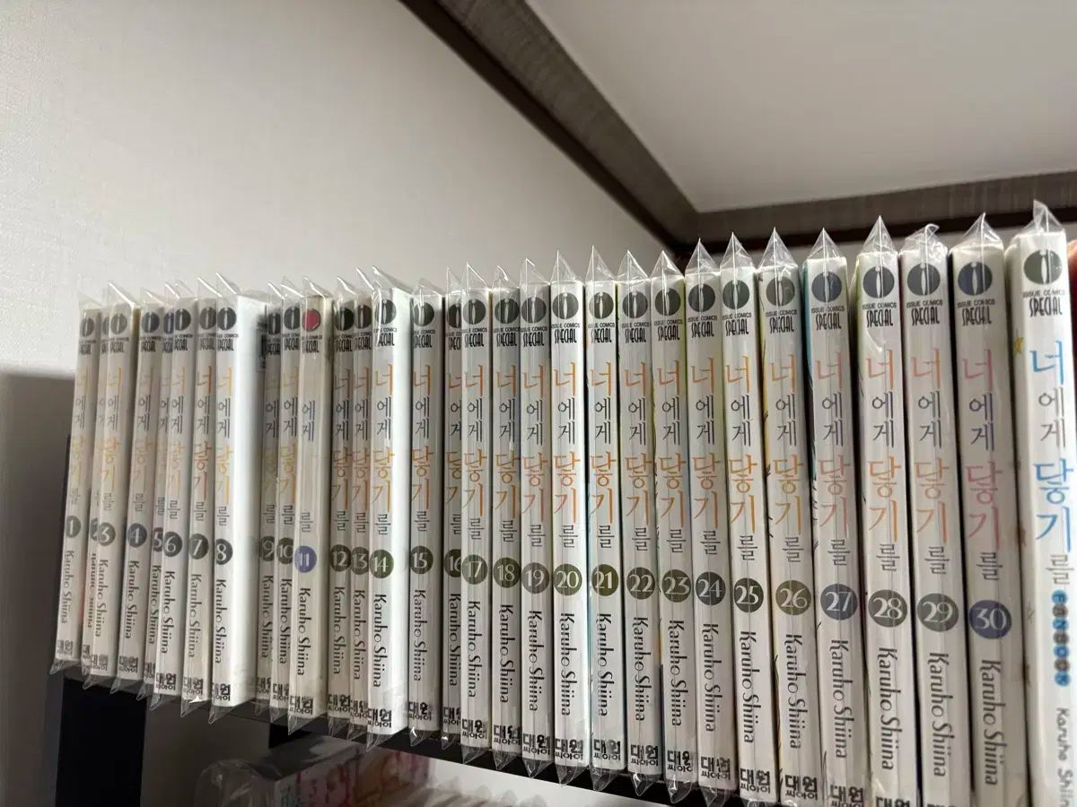 君に届け 1-30巻 全巻 FAN BOOK