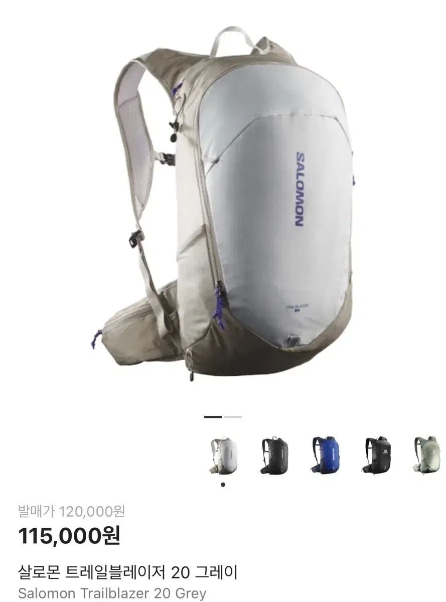 SALOMON サロモン トレイルブレーザー 20 グレー