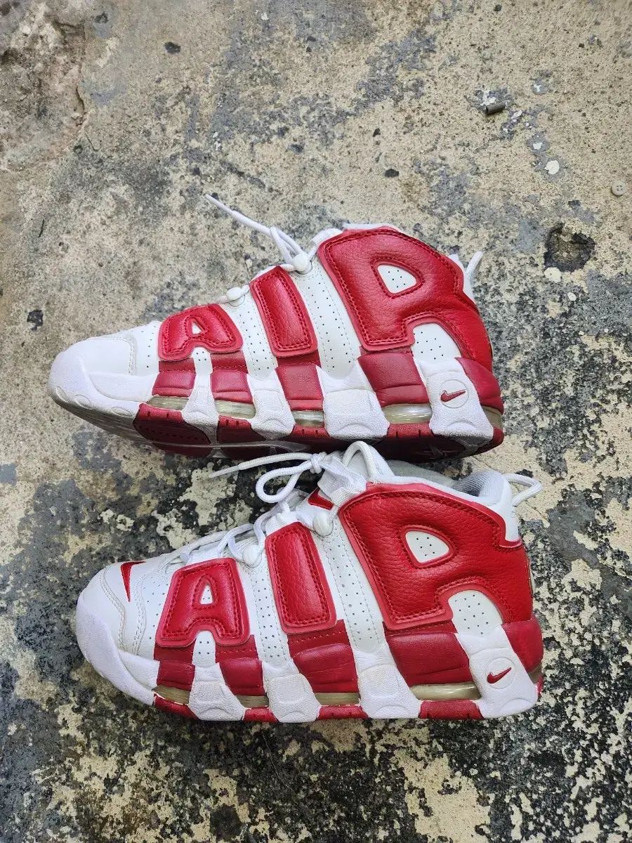 ナイキ アップテンポ エアモア ブルズ 260mm