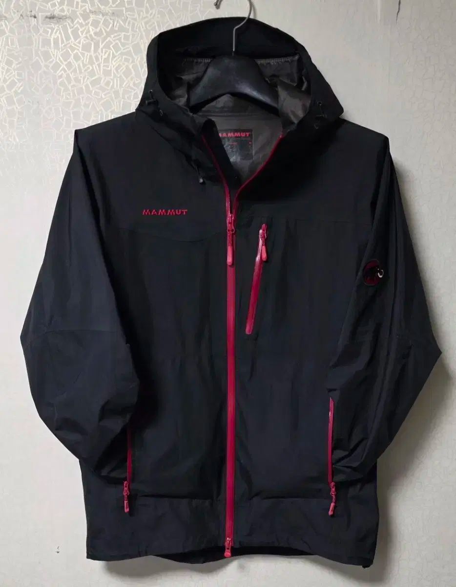 マムート MAMMUT ゴアテックス 登山ジャケット 機能性 ウィンドブレーカー メンズ L 100