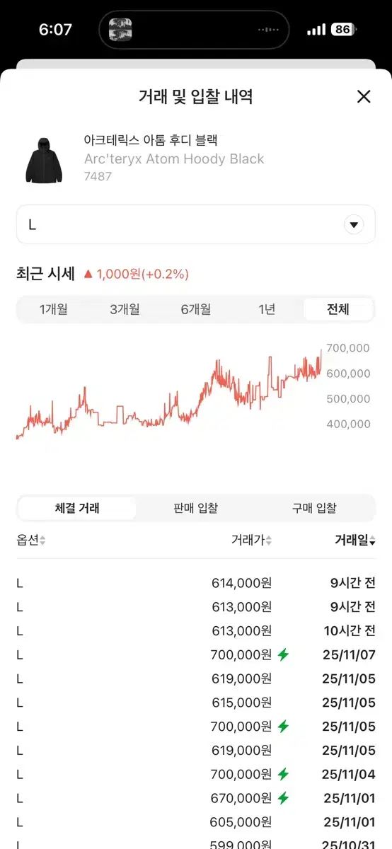 ARC TERYX アークテリクス Atom アトム フーディー ブラック L