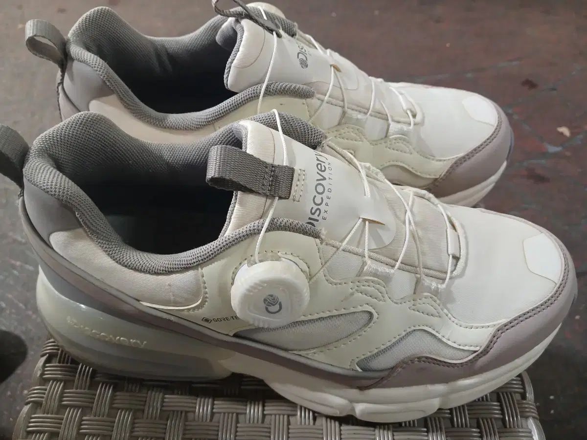 DISCOVERY GORE-TEX ゴアテックス スニーカー兼トレッキングシューズ 250