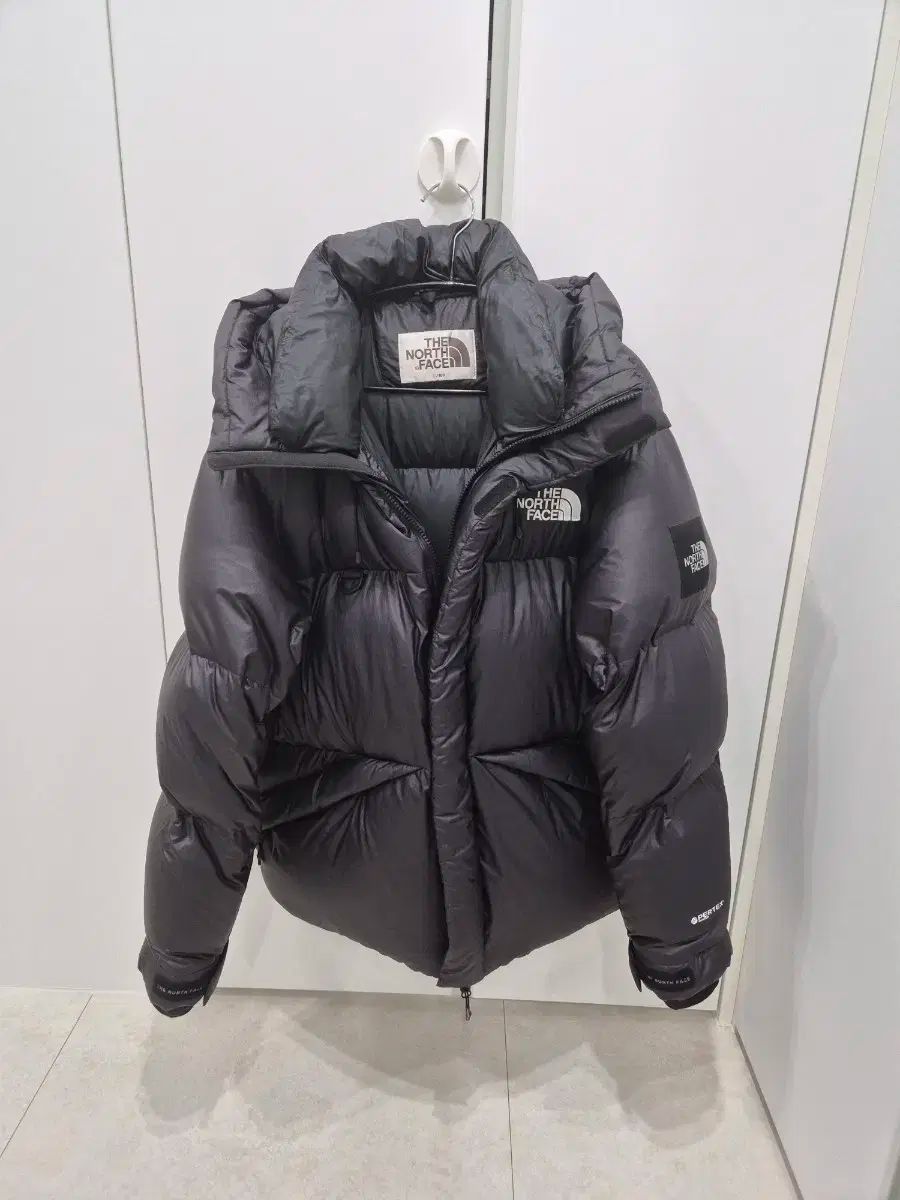 THE NORTH FACE ザノースフェイス 퀀텀 クォンタム エル Lサイズ サイズ RUN 런 팝니다