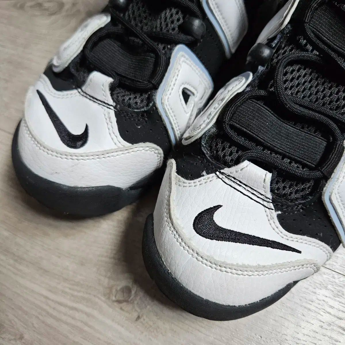 コバルト ブリス