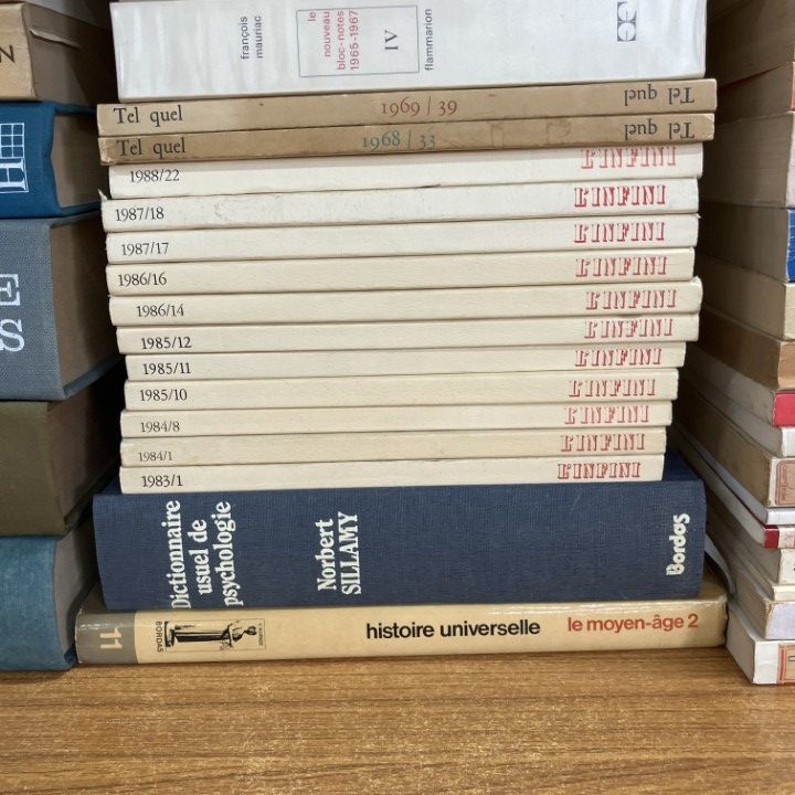 ■02)【1点限り!】フランス語の哲学・言語・文学・辞典などまとめ売り約55冊セット/洋書/小説批評/神話/心理学/仏語/B 本 □02)【1点限り!】フランス語の哲学・言語・文学・辞典などまとめ売り約