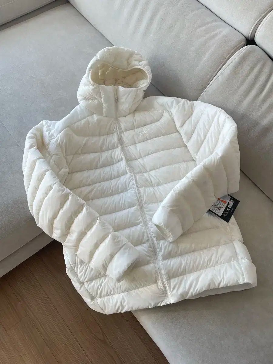 ARC TERYX Cerium 白アウト L