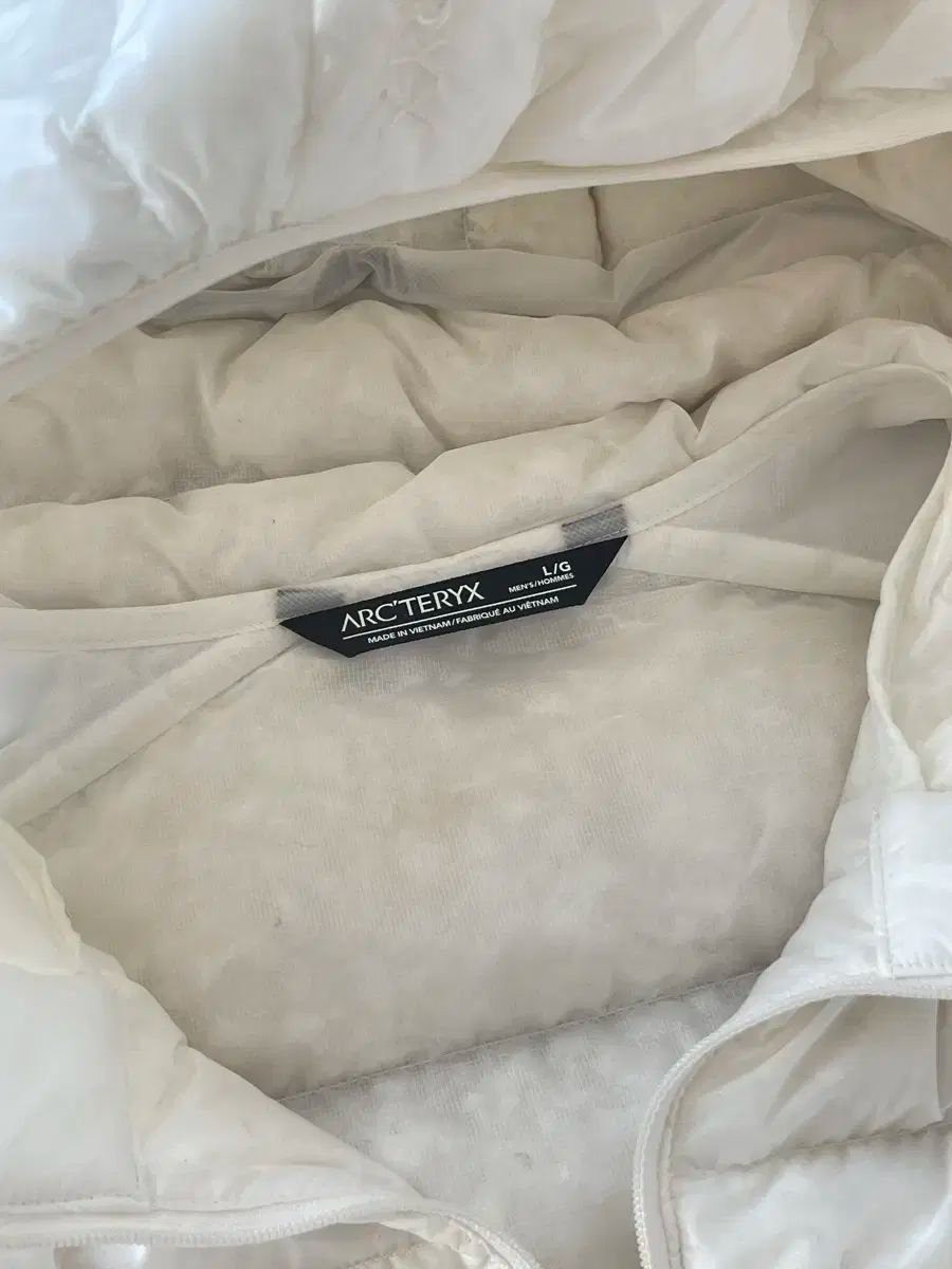 ARC TERYX Cerium 白アウト L
