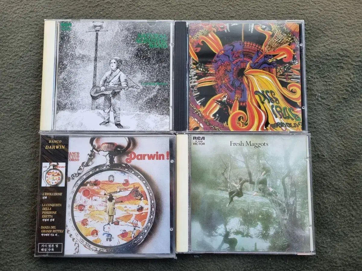 CD Banco Darwin その他