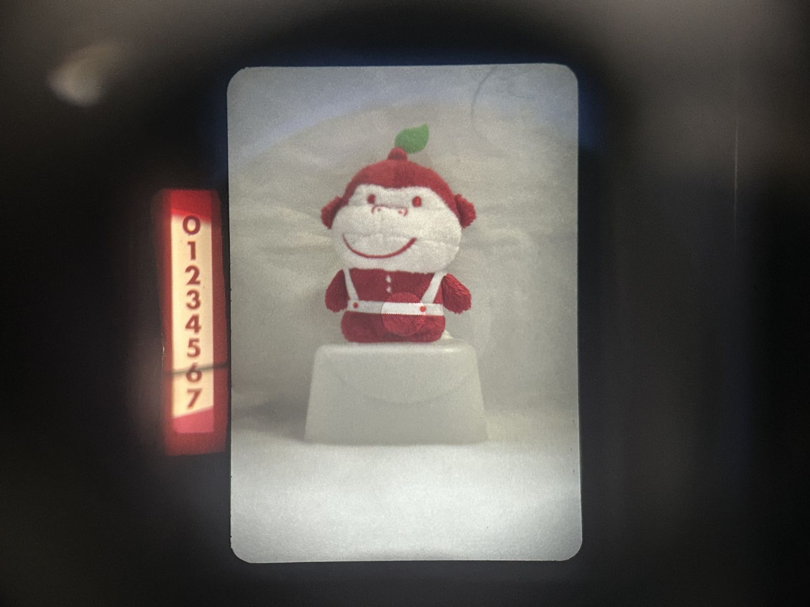 MFフィルムカメラ