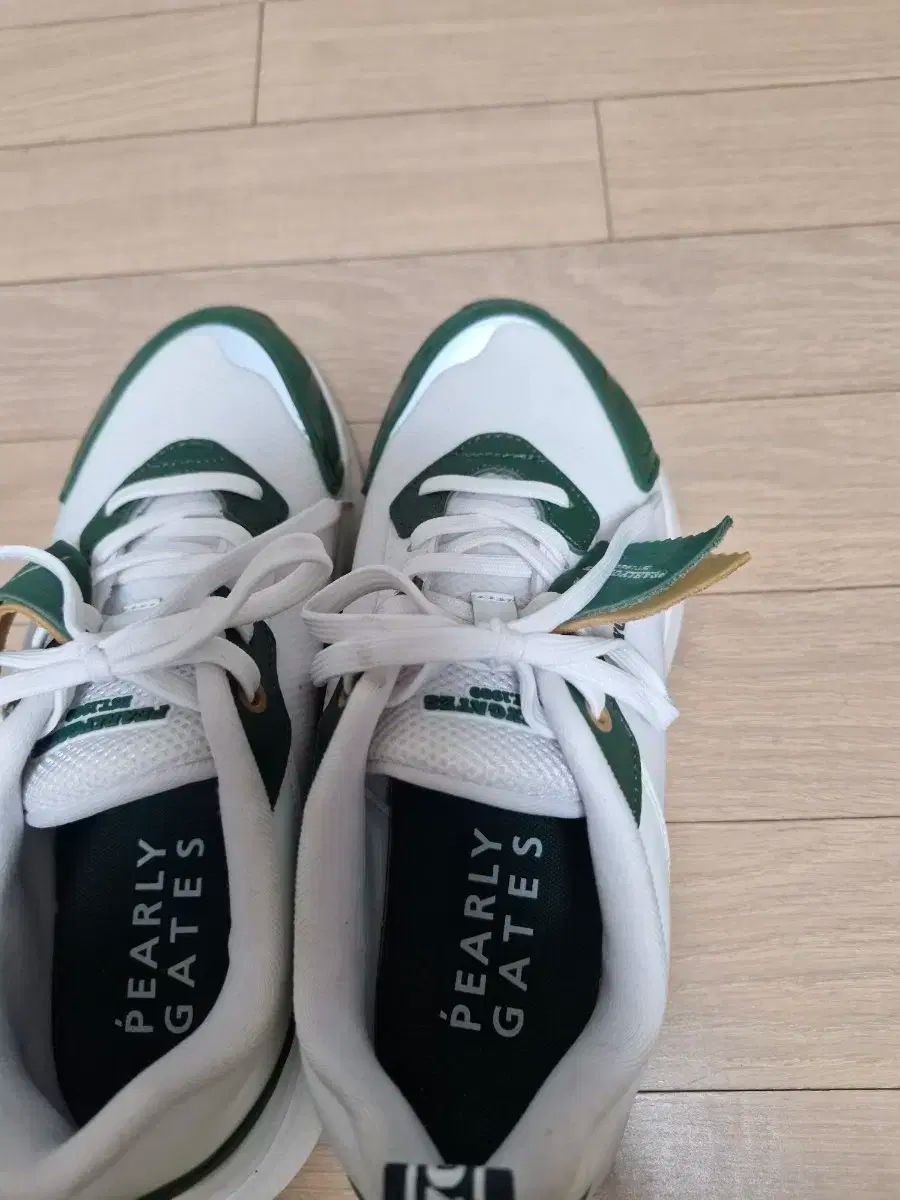 ゴルフシューズ 245