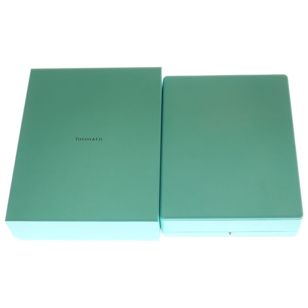  TIFFANY - Co. ティファニー SS LARGE LINK FORGE POLNL フォージ ラージリンク チェーンネックレス シルバー その他 ヘアアクセサリー