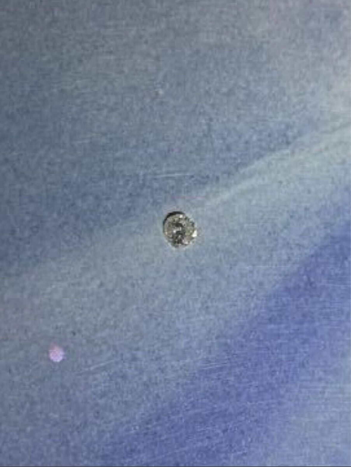 カーク・レイナート 「スウィートドリームス（サークル）」 シバ