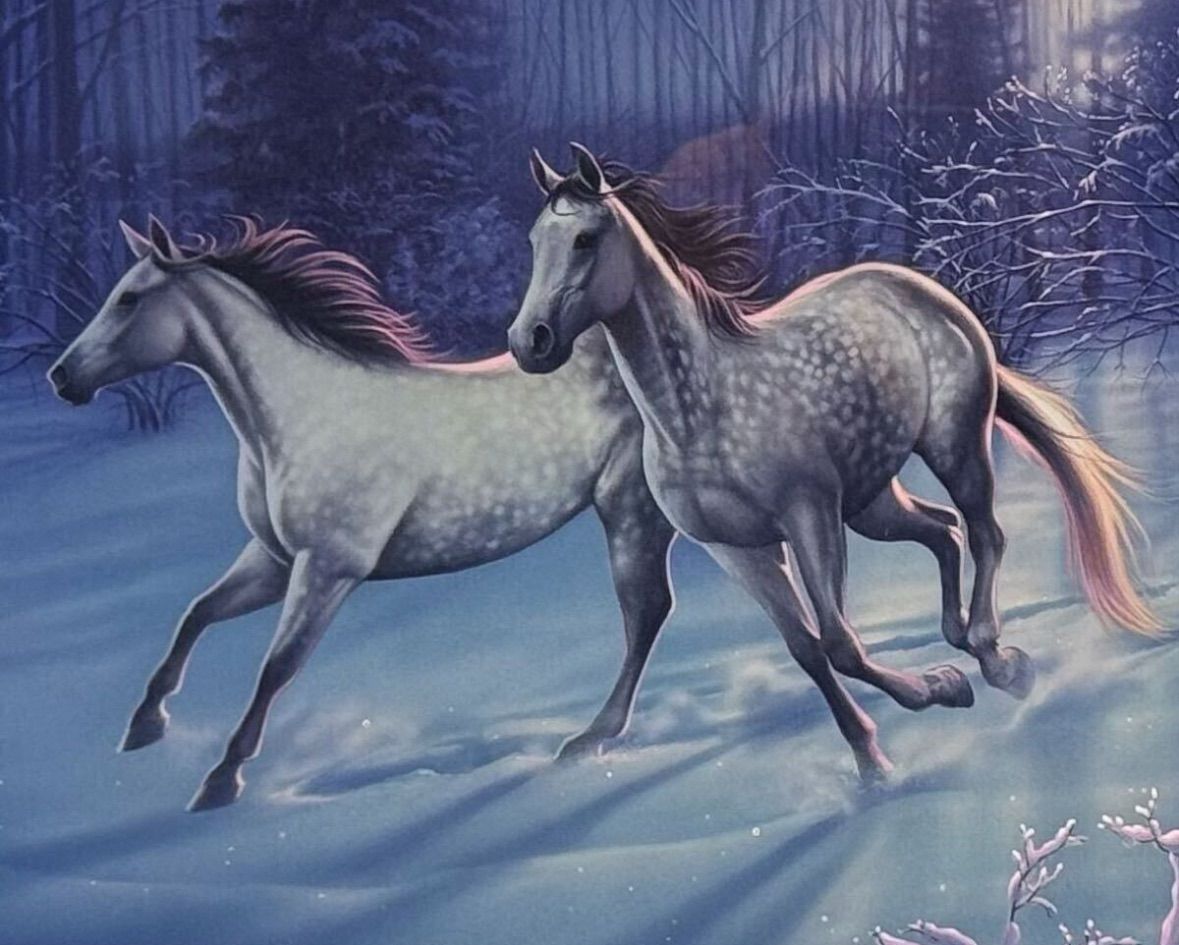 カーク・レイナート シバクローム カーク・レイナート 「ウィンターモーニング」シバクローム 20号 証明