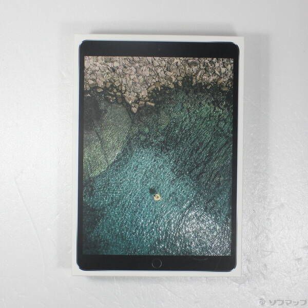 品〕 iPad Pro 10.5インチ 64GB スペースグレイ MQEY2J／A 販売 SIM