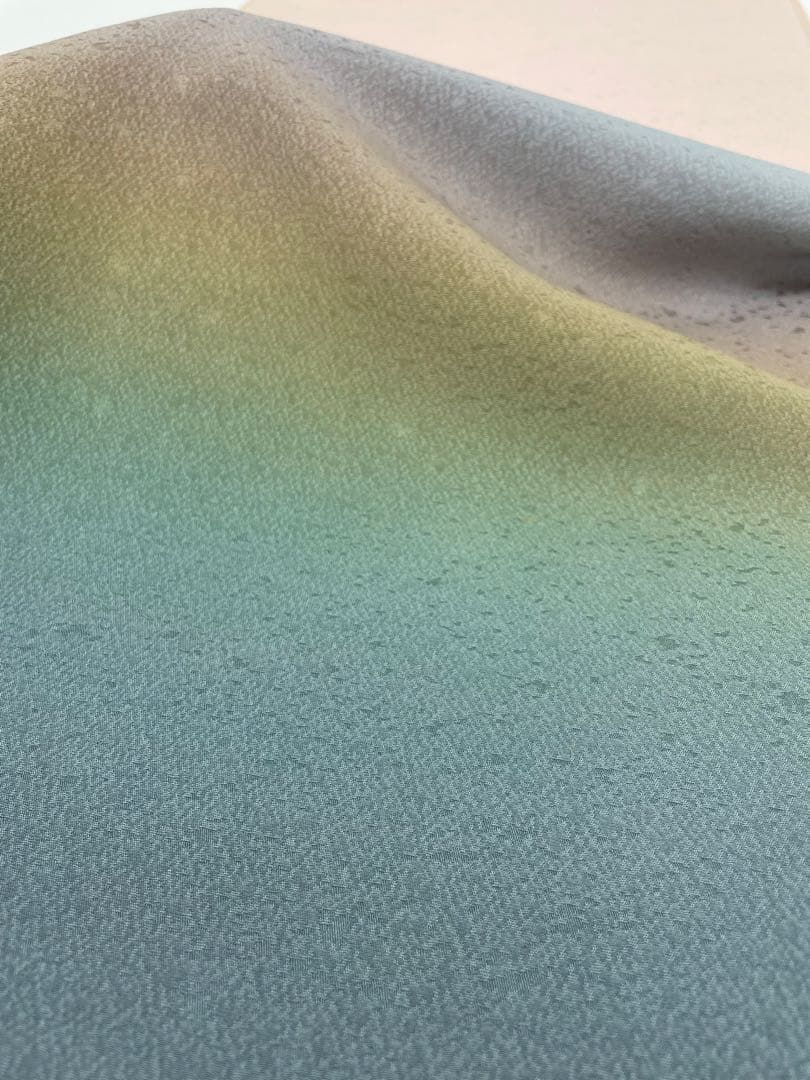  付け下げ 帯地付き 金通し 紋意匠 虹蜆色 木下勝功 反物 正絹 O 079 訪問着 付け下げ 着物