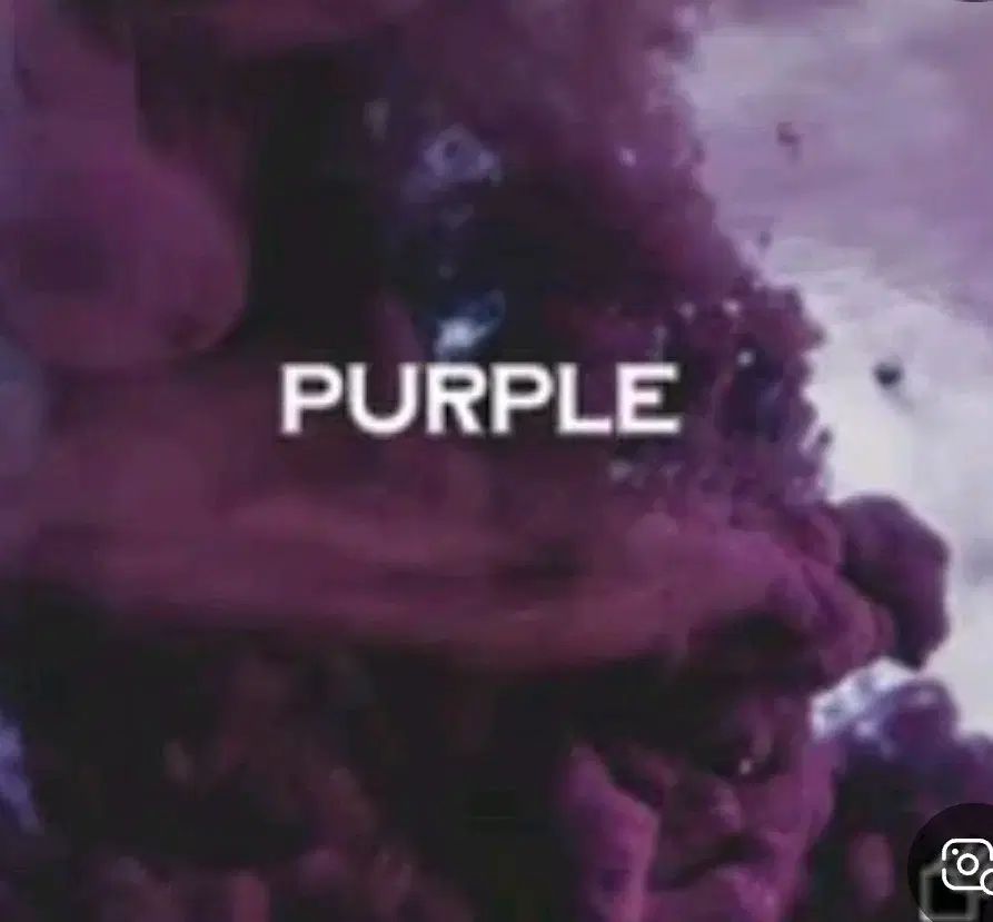 触れた PURPLE ヴァイナル ビニールレコード CD 5 入力 4 IN サイン盤