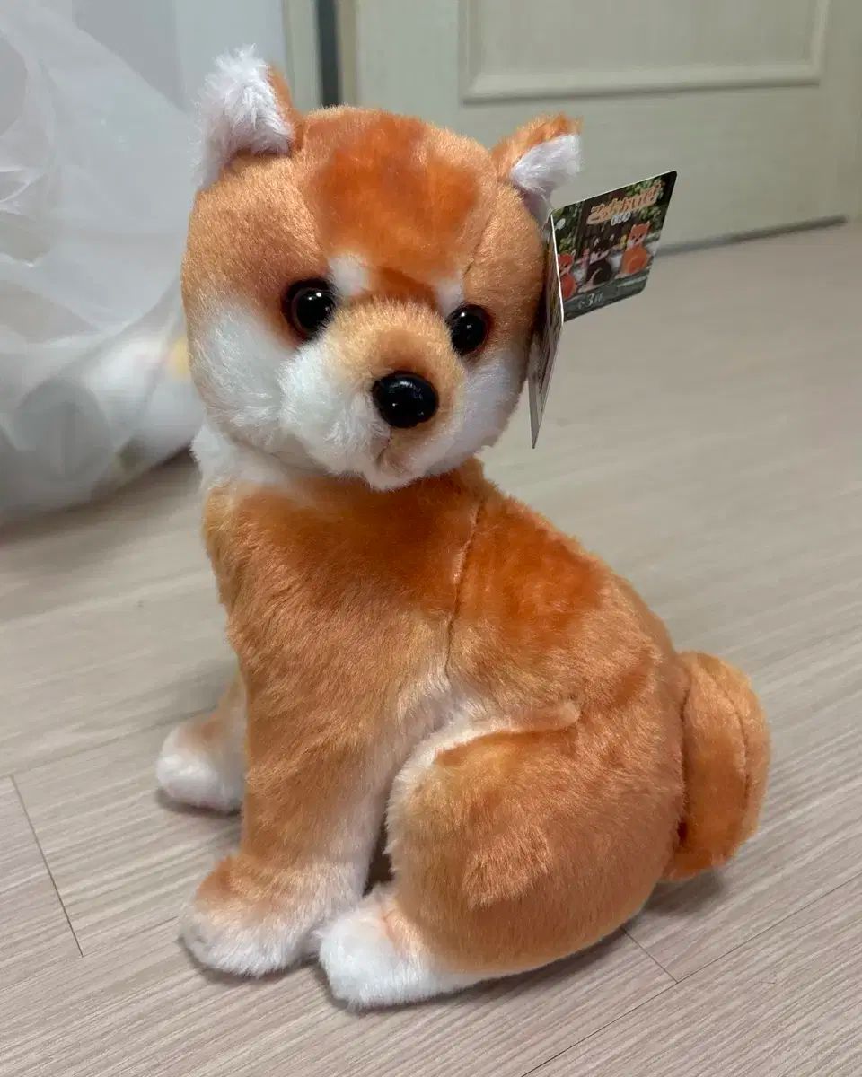 20%OFFセール❣️新品　トランスフォーメーション 15ml 応援系オイル❣️ AZ(エーゼット) 自動車用 エンジンオイル 20L 0w20 CEC-101