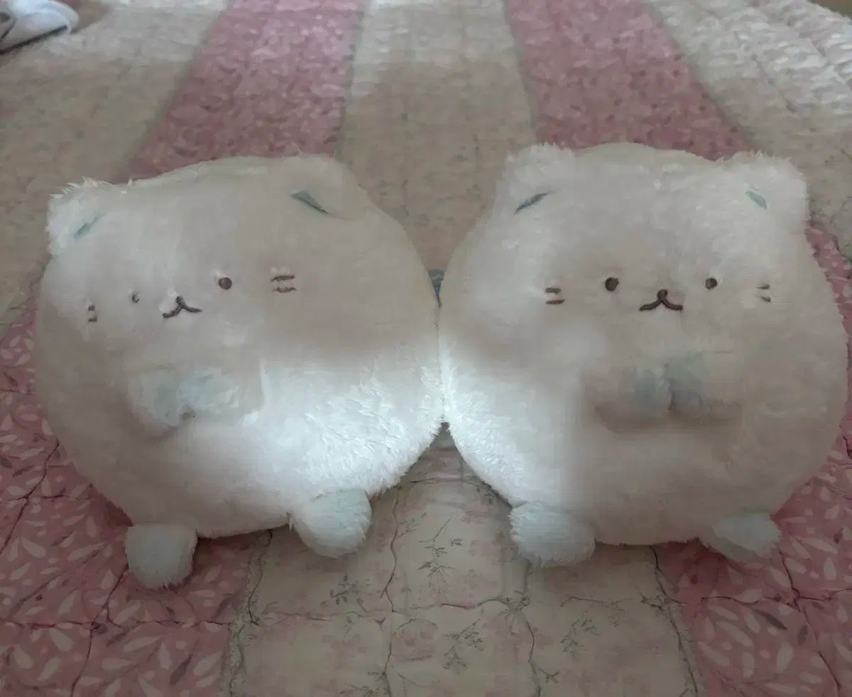 日本サン-X ぬいぐるみ 猫