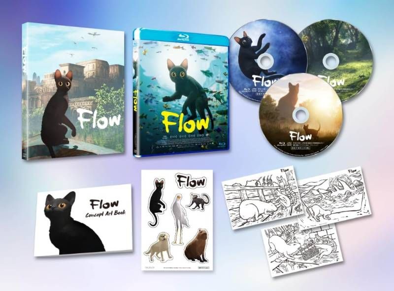 Flow 初回 版 Blu-ray ギンツ ジルバロディス 監督 安心 メルカリShops グッドバリューが