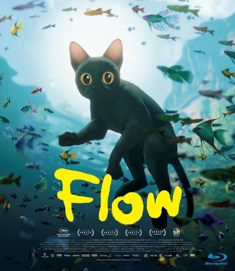 Flow 初回 版 Blu ray ギンツ ジルバロディス 監督 安心 Shops グッドバリューが