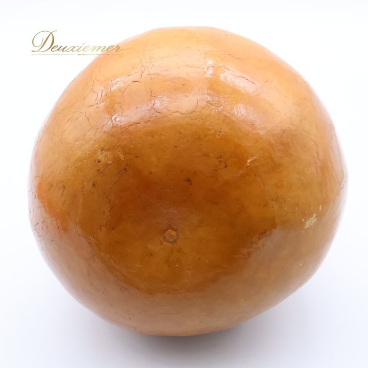 フラダンス イプ ひょうたん 楽器 小物 小道具 ベージュ系 民族舞踊