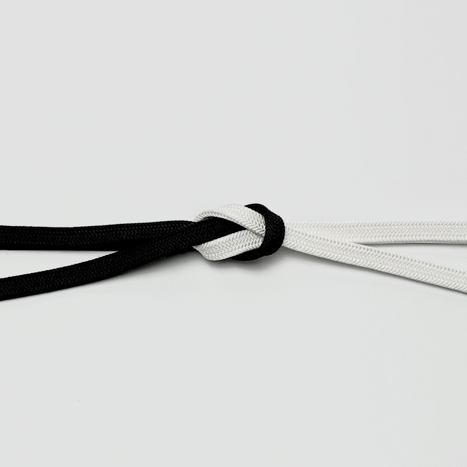 帯締め 衿秀 耳高内記 二色 切房 0002