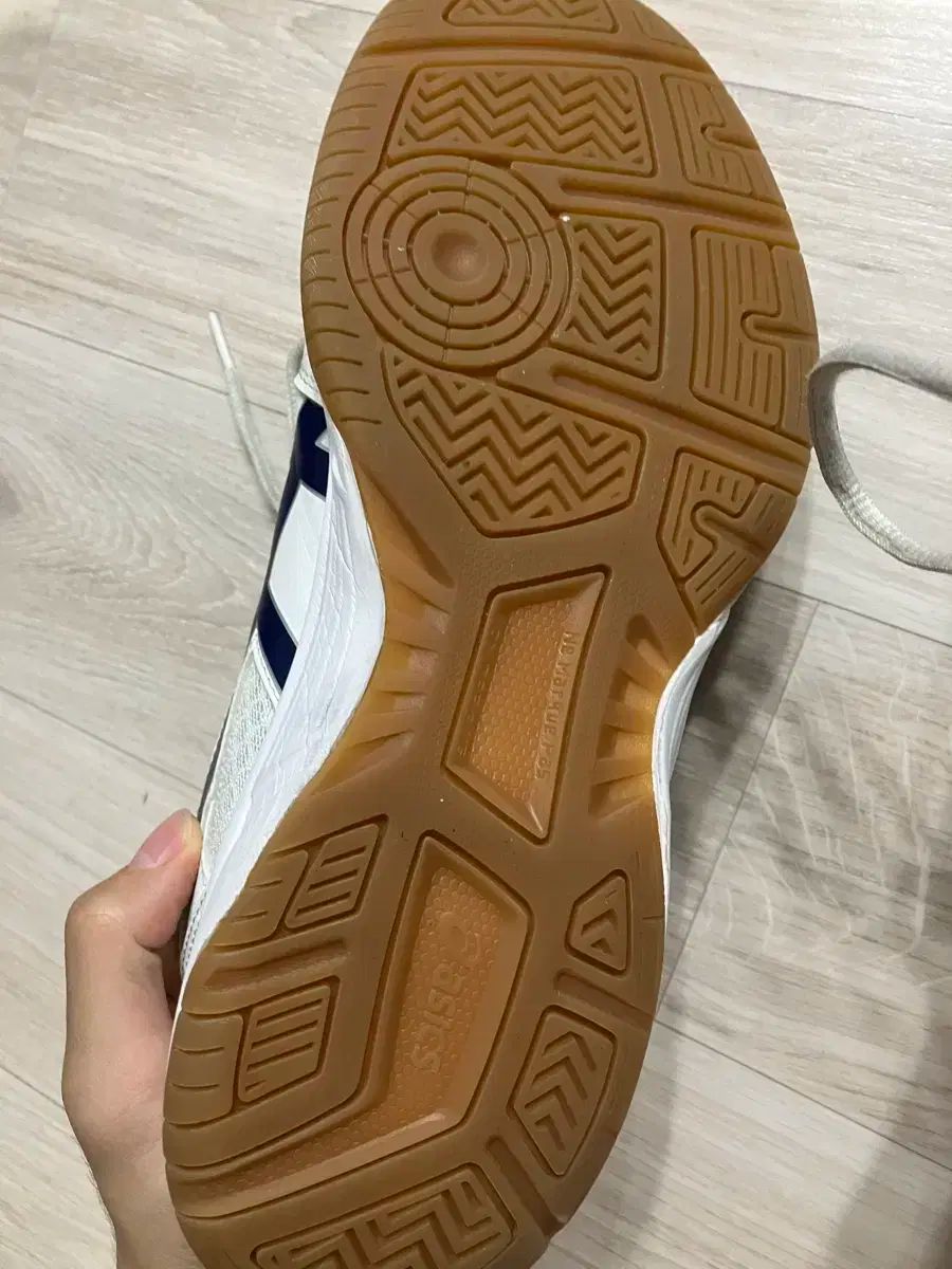  アシックス リー브レ cf 265 体大入試靴 その他 バドミントン