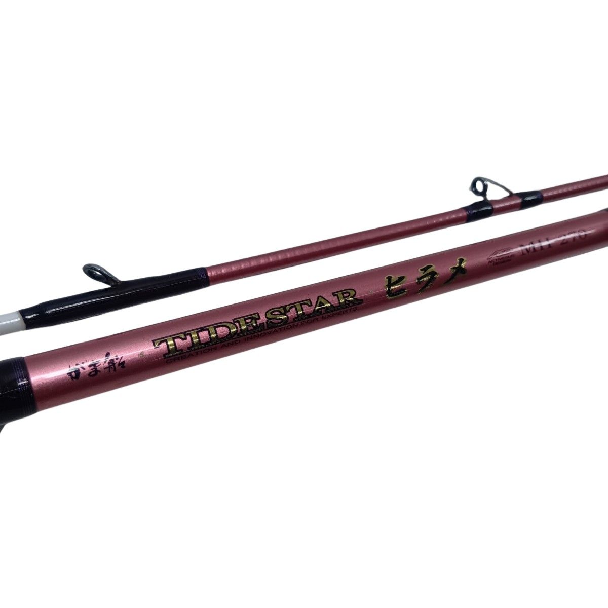 gamakatu ガマカツ ガマフネタイドスターヒラメ MH-270 21648