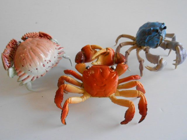 ♯Jvi12BT　カプセルQミュージアム　カニ大全 全6種 ♯Jvi12BT カプセルQミュージアム カニ大全 全6種 - メルカリ