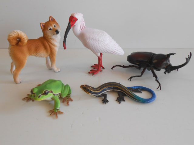 ☆Jvi29Ftネイチャーテクニカラー日本のいきもの02全10種 - メルカリ