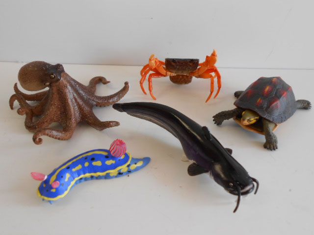 ☆Jvi29Ftネイチャーテクニカラー日本のいきもの02全10種 - メルカリ