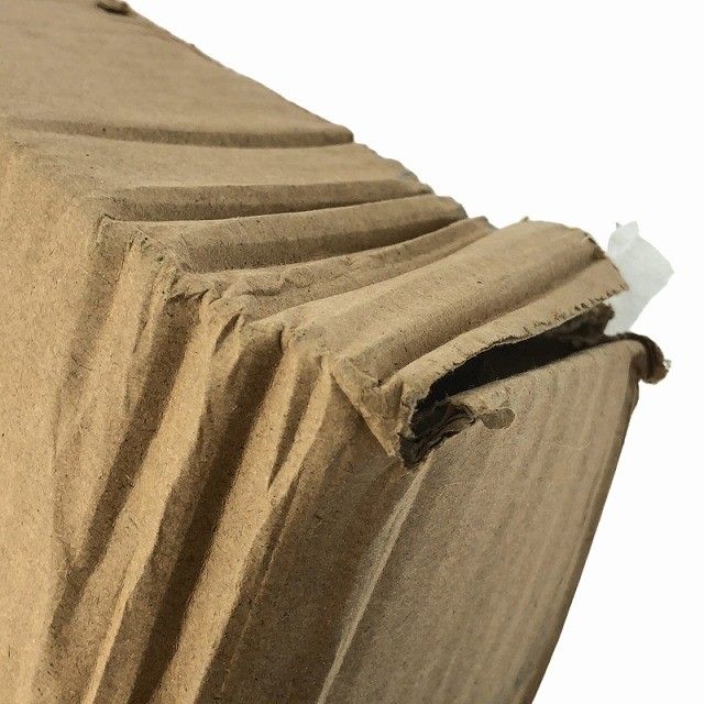  箱あり ペンギンワックス イノベーター用 カーペットブラシ 15インチ 380 mm 3つ爪 ポリッシャー用 洗浄ブラシ117977 ポリッシャー 研磨機