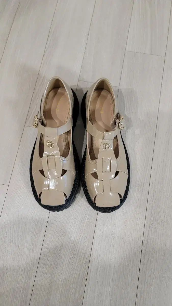 グラディエーター