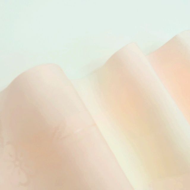 百華 Y 3956 単衣 正絹 袖無双 刺繡衿 居敷当て付 振袖用 長襦袢