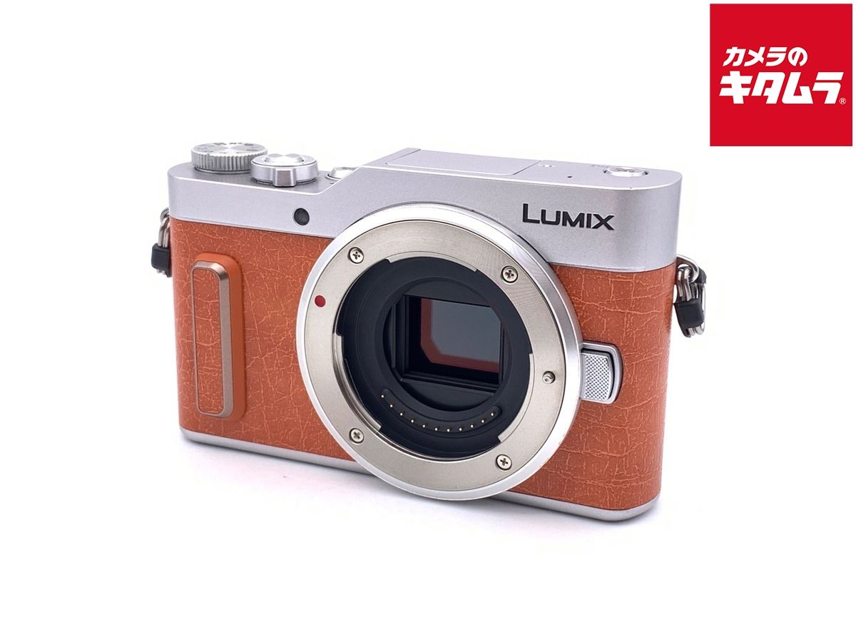 並品 パナソニック DC GF 10 ボディ オレンジ