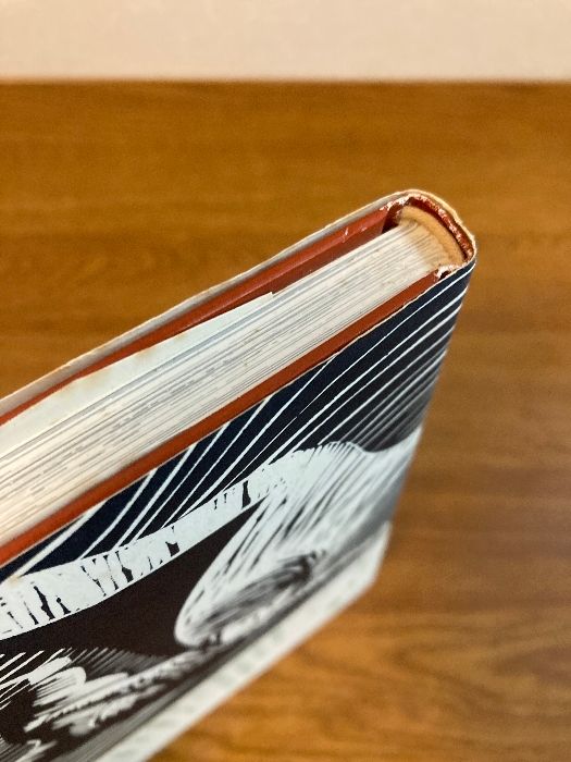 宮沢賢治、銀河へ: 版画絵本 文春ネスコ 畑中 純 - メルカリ