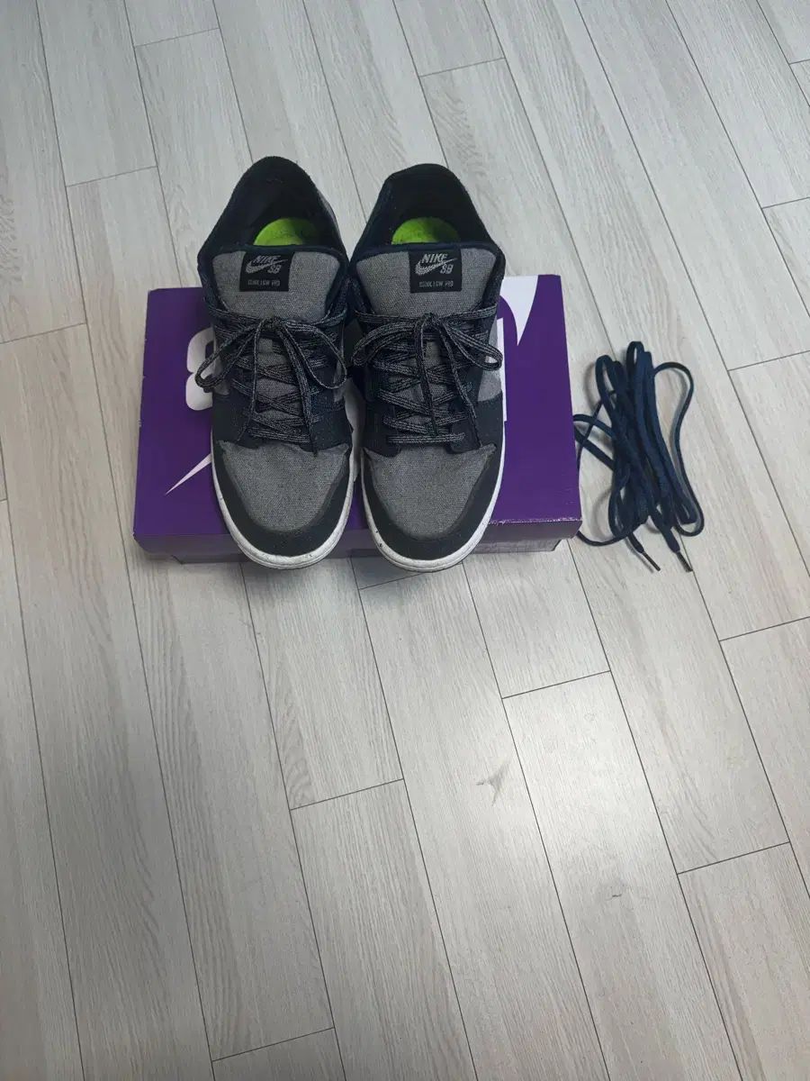 ナイキ SB ダンク ロー CT 2224-001