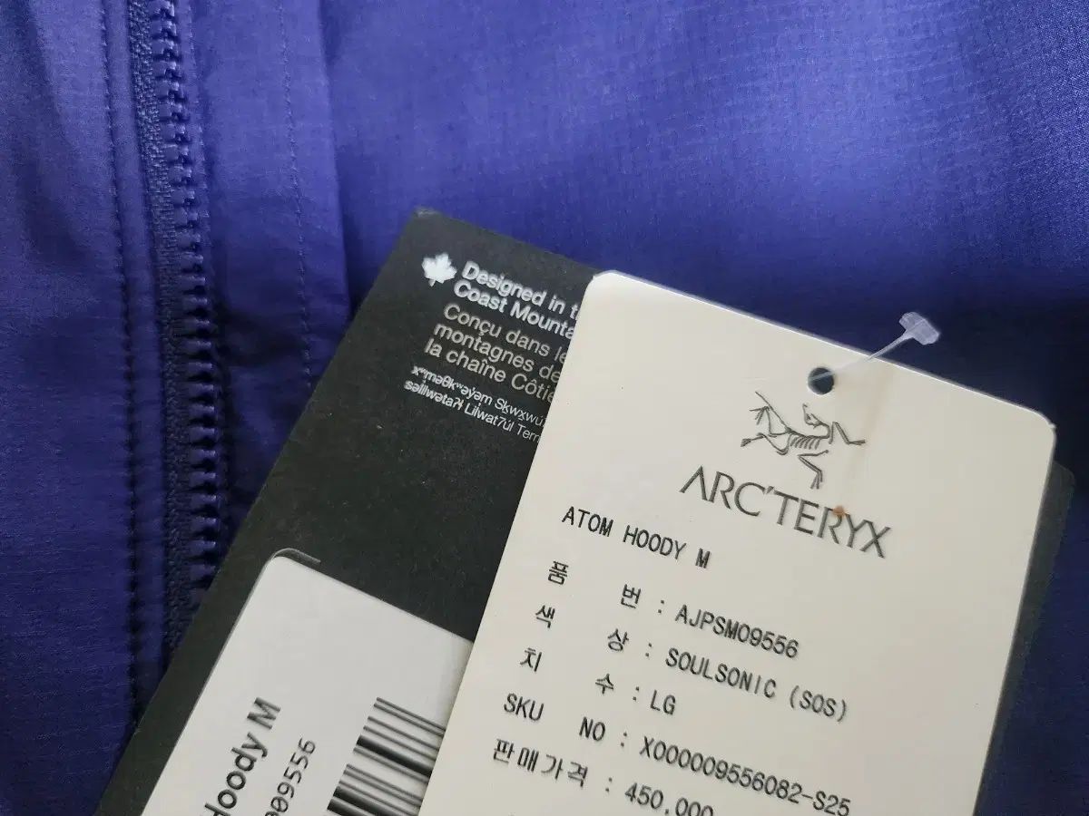 ARC TERYX アークテリクス Atom アトム フーディ SOUL SONIC メンズ Lサイズ