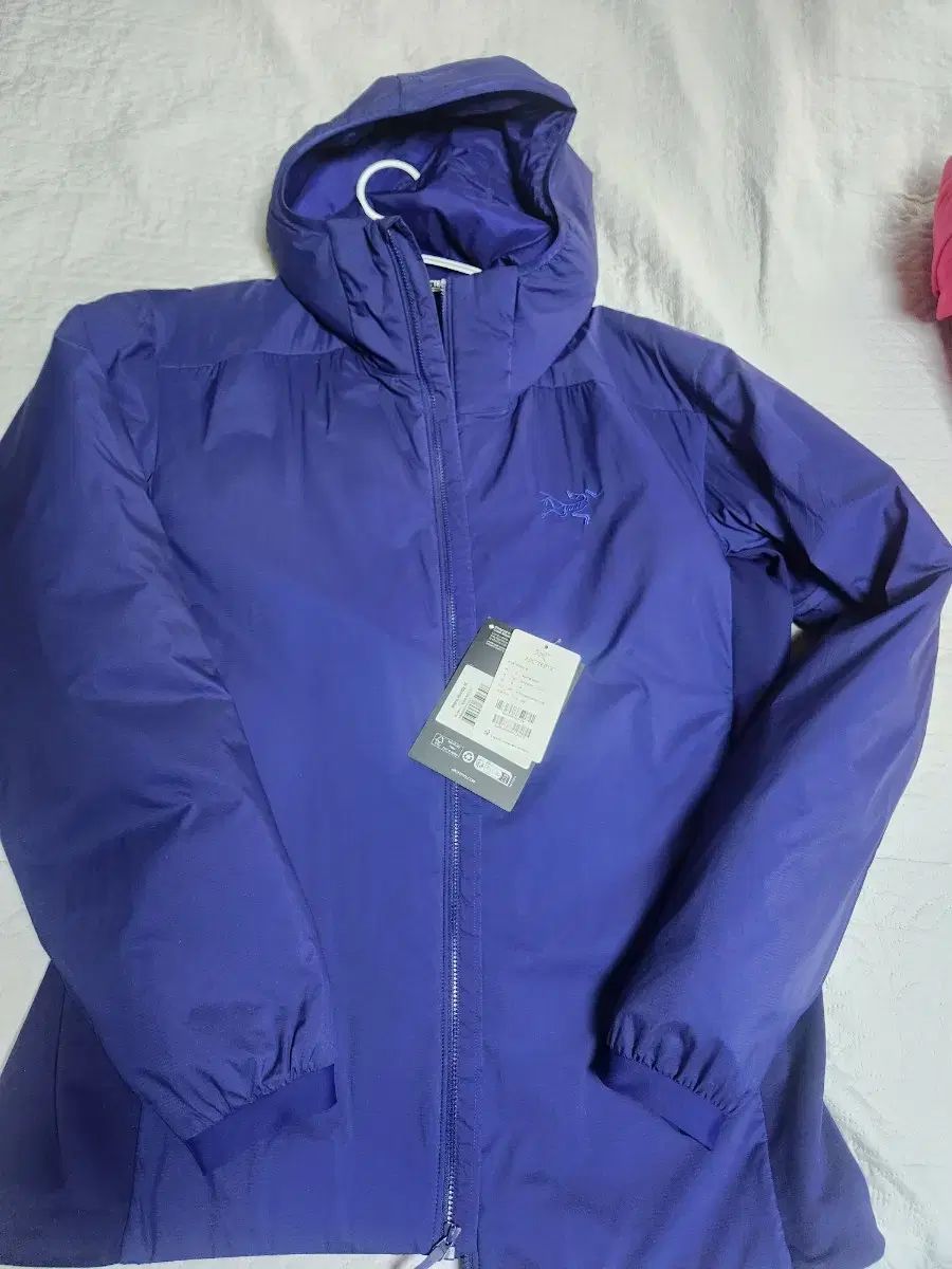 ARC TERYX アークテリクス Atom アトム フーディ SOUL SONIC メンズ Lサイズ