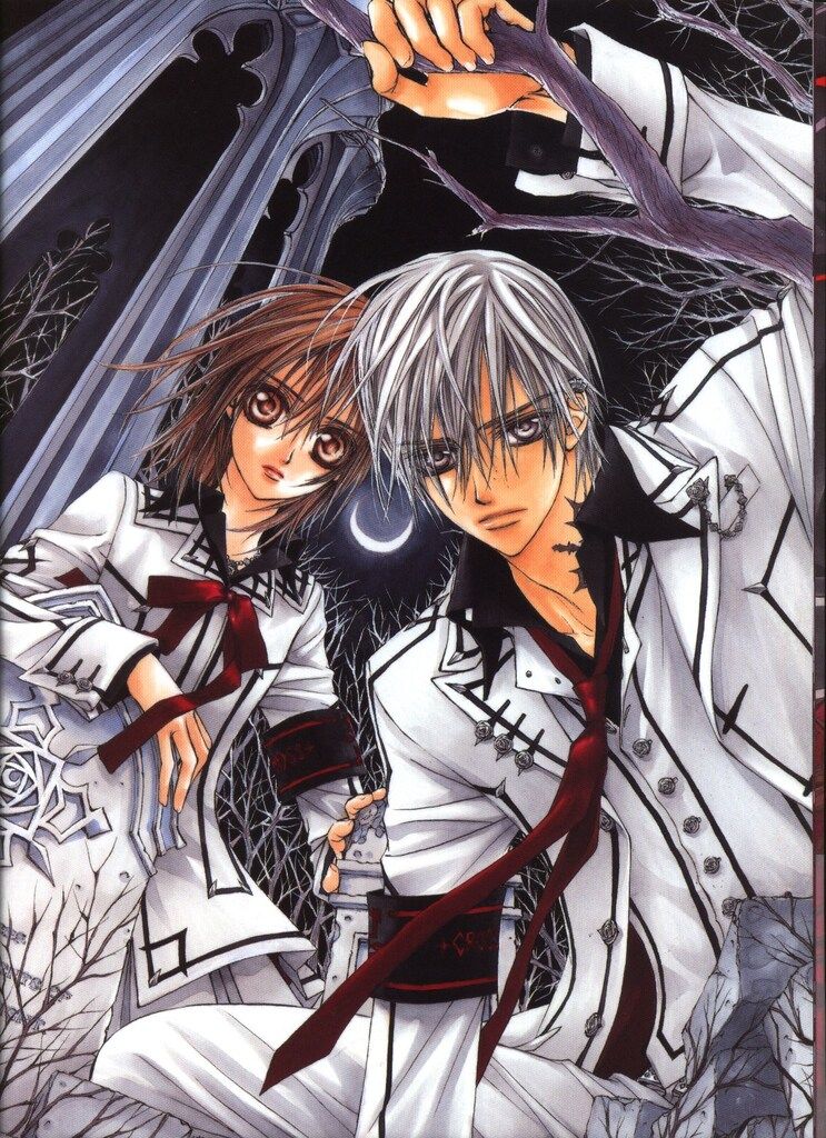 白泉社 樋野まつり ヴァンパイア騎士/樋野まつりイラストレーションズ