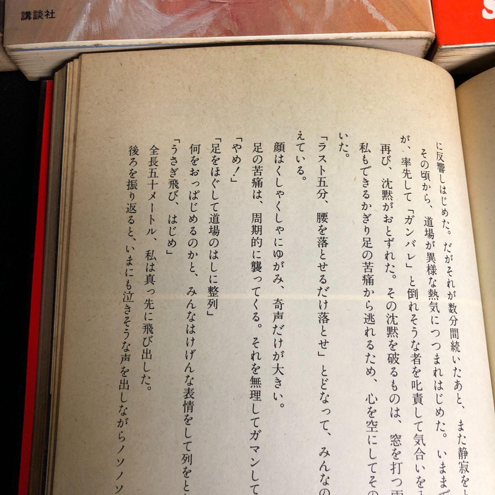 昭和スポーツ】大山倍達・空手関連本全11冊セット【空手道】 - メルカリ