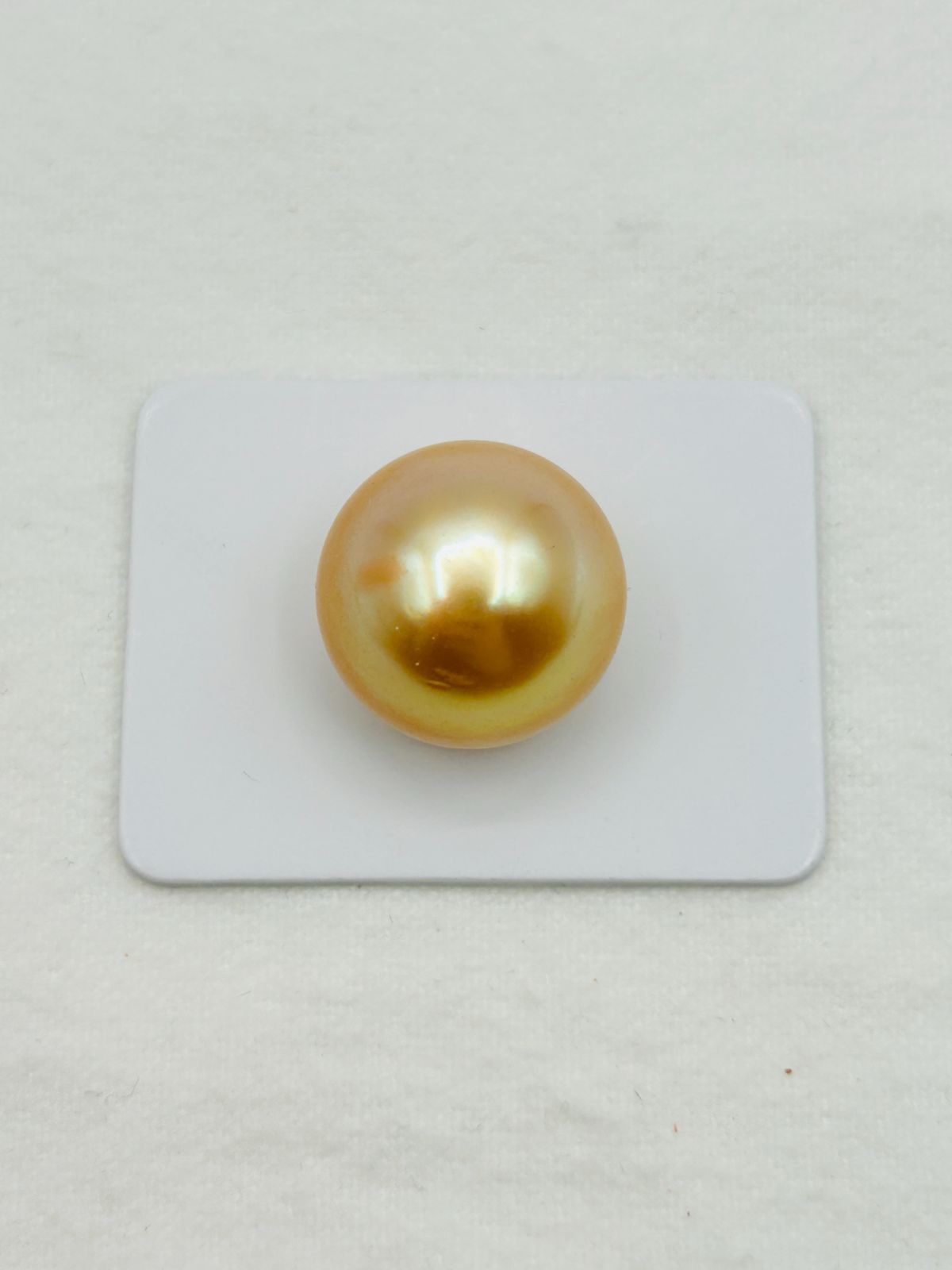 真珠 南洋 白蝶 ナチュラルゴールド パール ルース 17.0㎜UP 1PCS South Sea Pearl G 南洋金珠