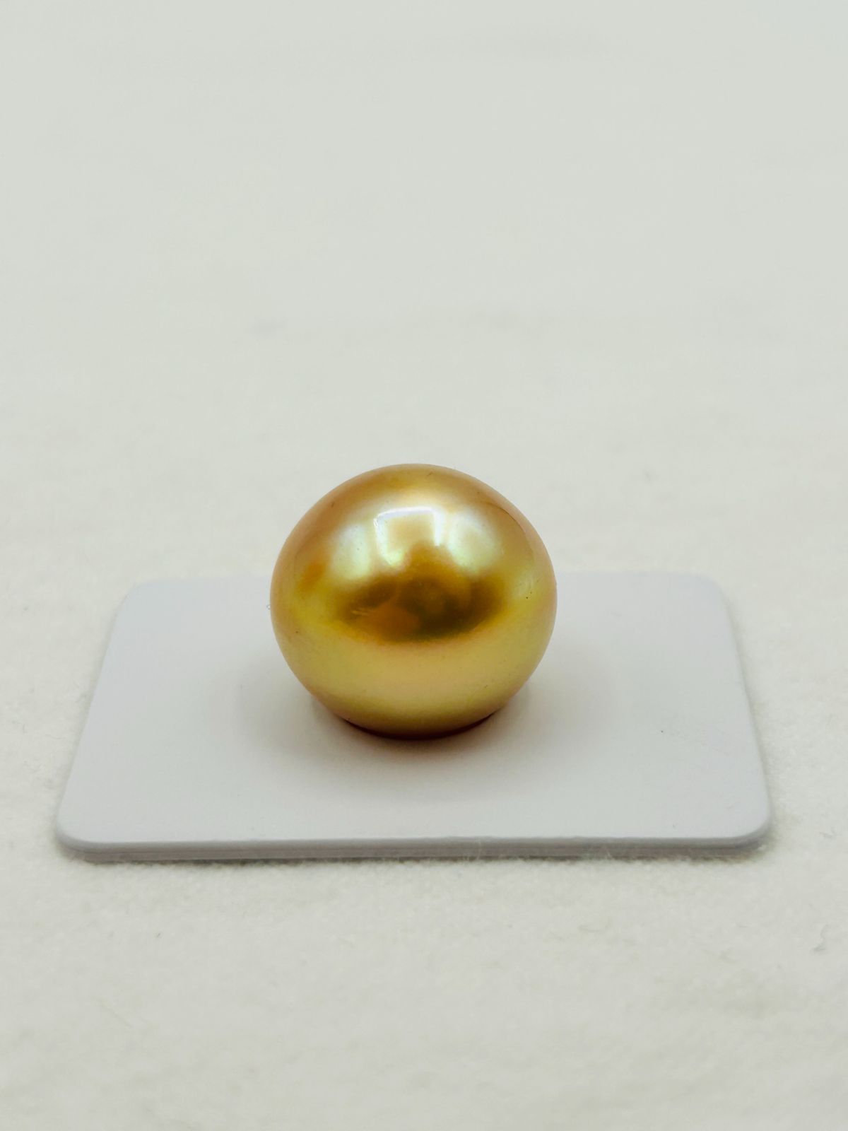 真珠 南洋 白蝶 ナチュラルゴールド パール ルース 17.0㎜UP 1PCS
