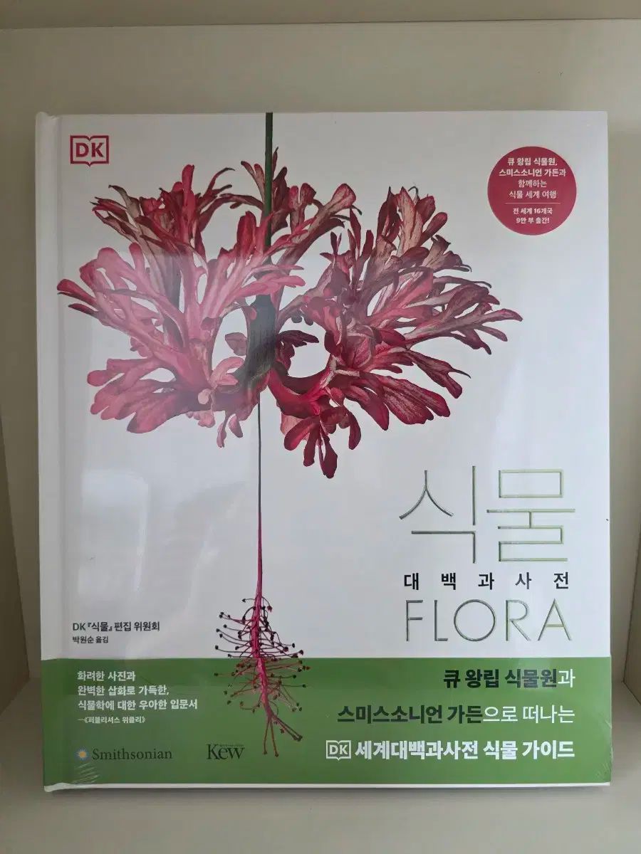 インテ 完全版 2版 の本 外 最新改訂版